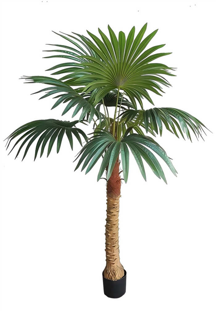 Plante artificielle extérieur palmier éventail-1