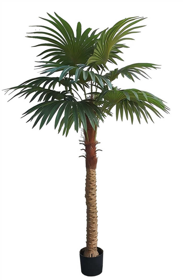 Plante artificielle extérieur palmier éventail Pots de fleurs non inclus Hauteur 150cm/180cm/210cm/240cm – Image 2