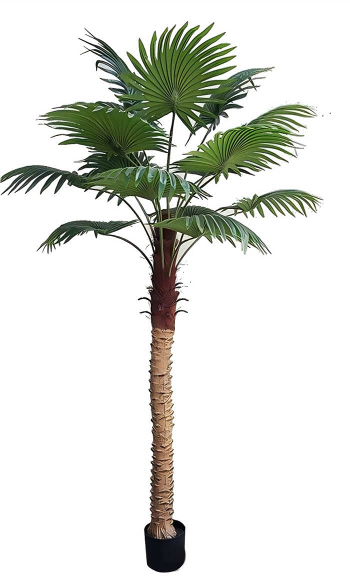 Plante artificielle extérieur palmier éventail Pots de fleurs non inclus Hauteur 150cm/180cm/210cm/240cm – Image 3