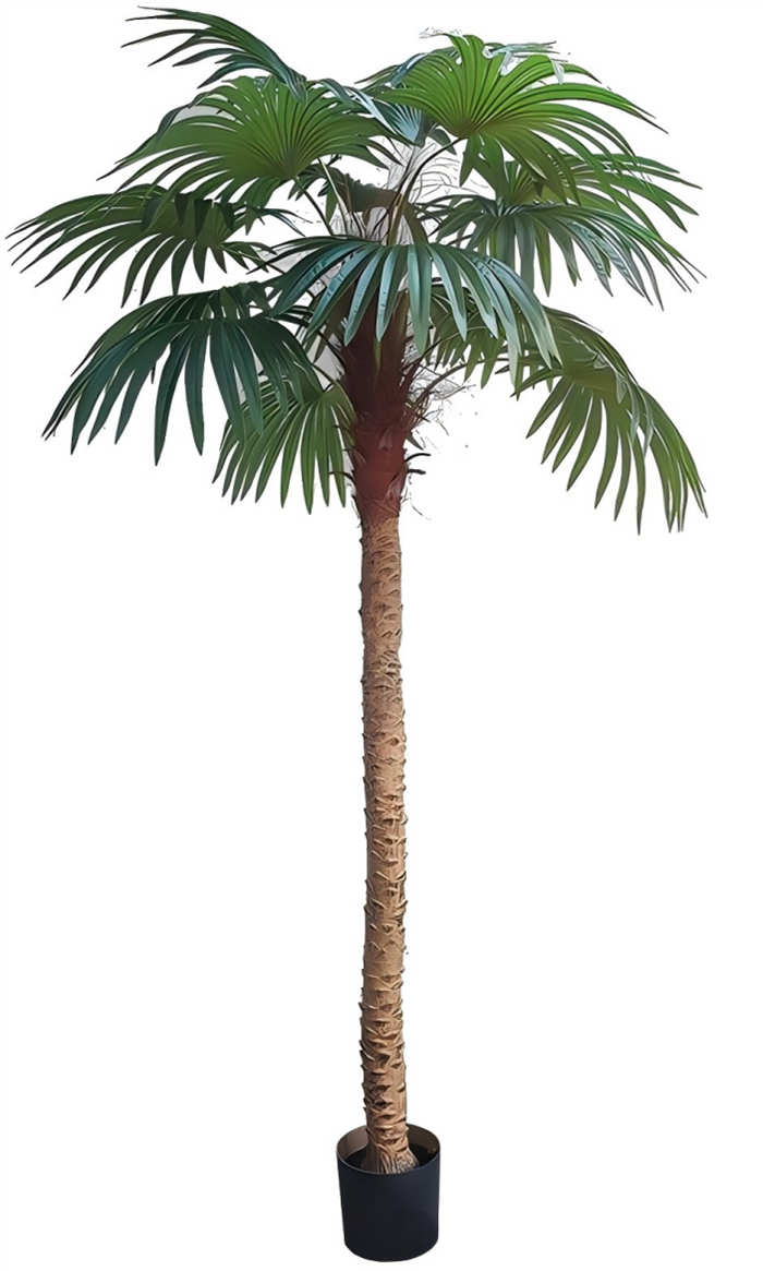 Plante artificielle extérieur palmier éventail Pots de fleurs non inclus Hauteur 150cm/180cm/210cm/240cm – Image 4