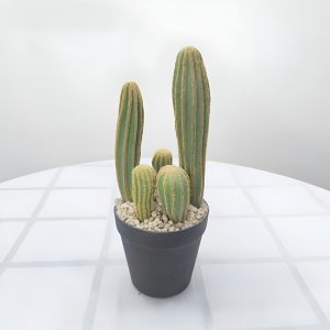 plante artificielle extérieur cactus du désert Pots de fleurs non inclus-1