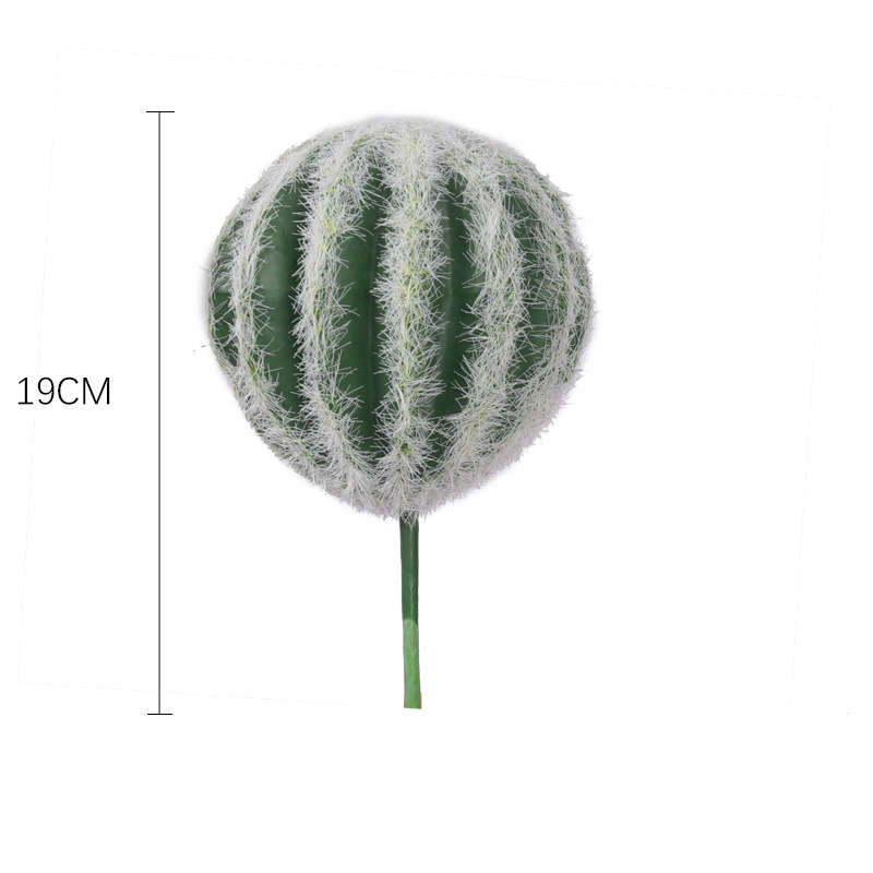 plante artificielle intérieur Cactus sphérique aux cheveux blancs Pots de fleurs non inclus Hauteur 19cm