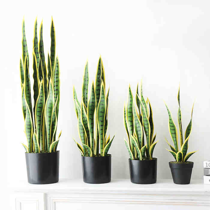 plante artificielle intérieur Sansevieria à bordure dorée Pots de fleurs non inclus-1