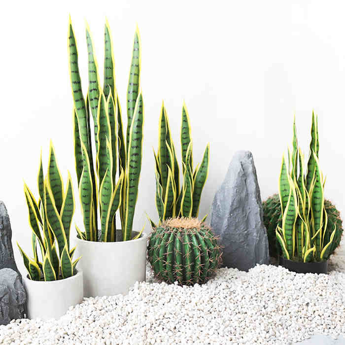 plante artificielle intérieur Sansevieria à bordure dorée Pots de fleurs non inclus Hauteur 40cm/65cm/96cm – Image 2