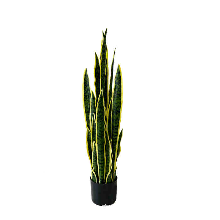 plante artificielle intérieur Sansevieria à bordure dorée Pots de fleurs non inclus Hauteur 40cm/65cm/96cm – Image 3