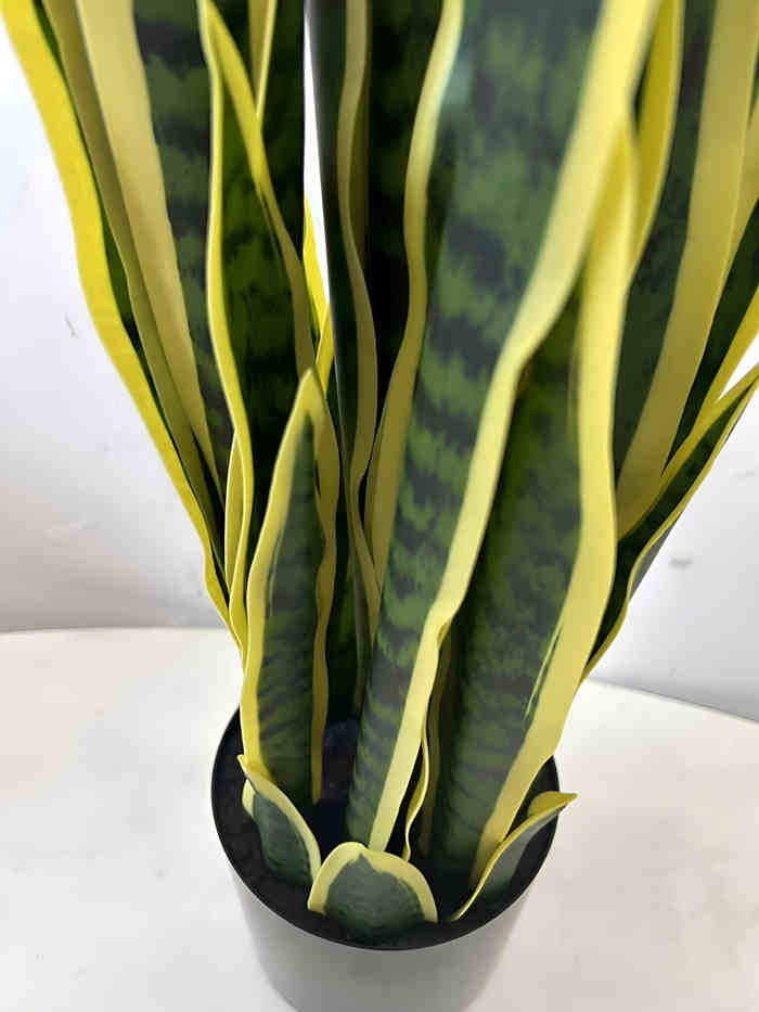 plante artificielle intérieur Sansevieria à bordure dorée Pots de fleurs non inclus Hauteur 40cm/65cm/96cm – Image 4
