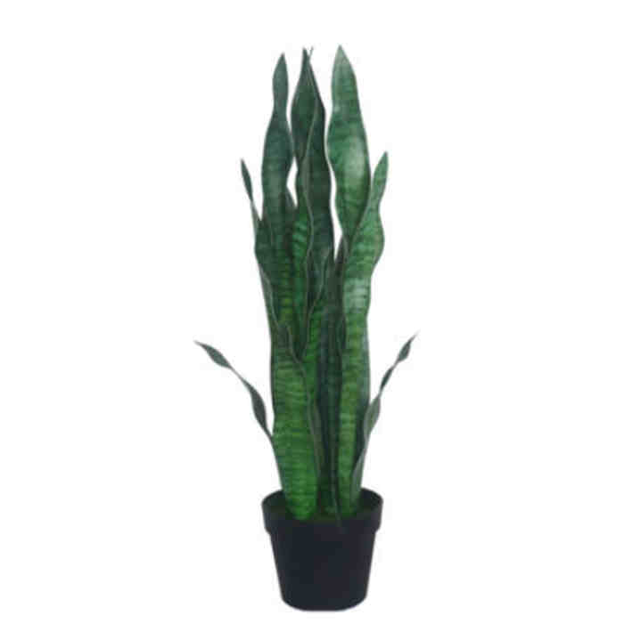 plante artificielle intérieur sansevieria à bordure verte Pots de fleurs non inclus Hauteur 40cm/65cm/96cm – Image 2