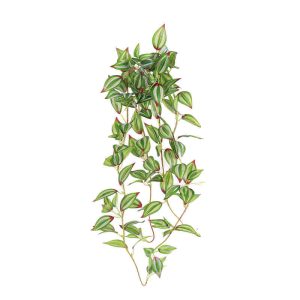 plante artificielle tombante Coleus matériaux décoratifs Hauteur 100cm 6pcs