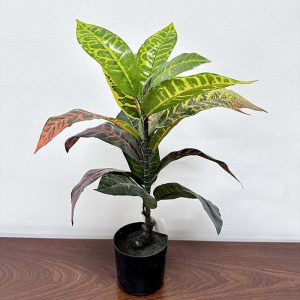 plante artificielle intérieur banian vert doré Pots de fleurs non inclus Hauteur 60cm